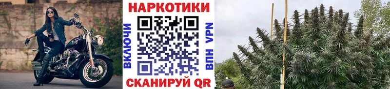 Магазины продажи наркотиков Кизел Каннабис  СОЛЬ  ГАШ  МЕФ 