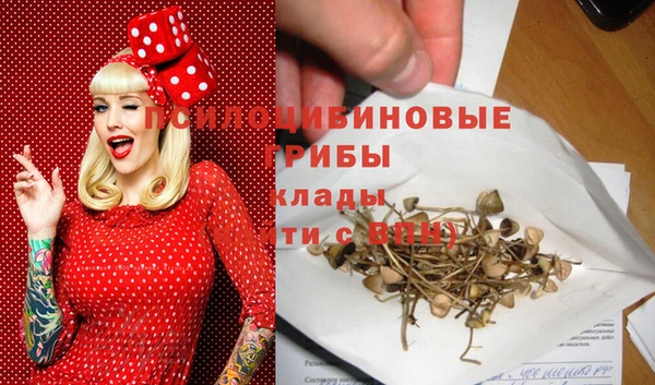 гидра Алексин