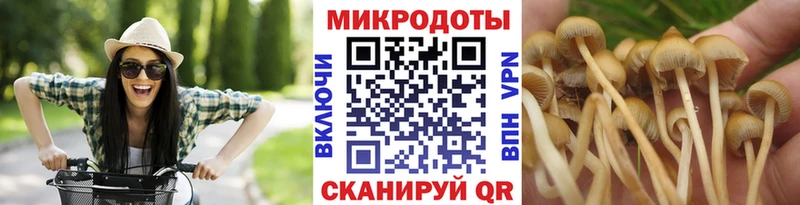 Псилоцибиновые грибы Cubensis цена наркотик Кизел
